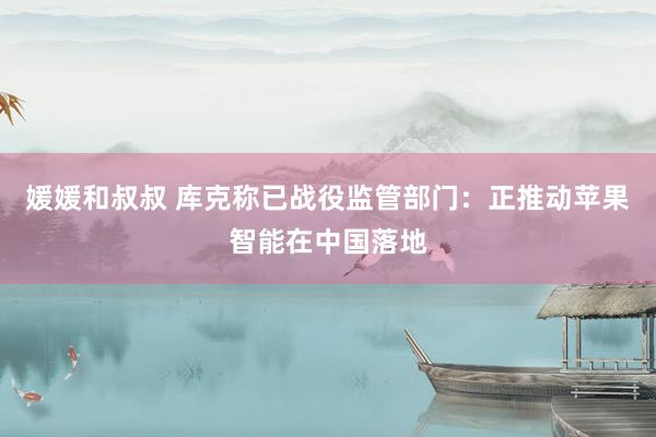 媛媛和叔叔 库克称已战役监管部门：正推动苹果智能在中国落地