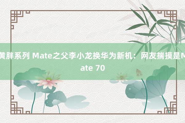 黄胖系列 Mate之父李小龙换华为新机：网友揣摸是Mate 70