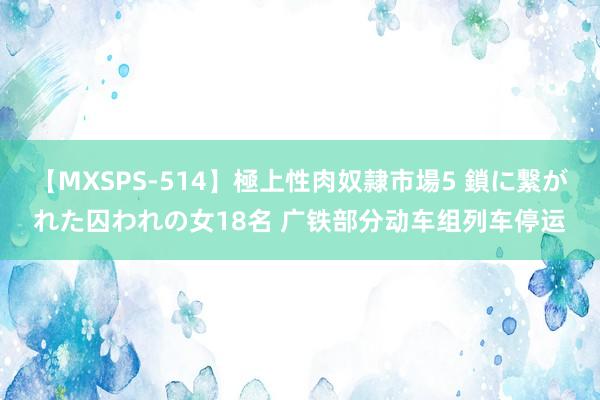 【MXSPS-514】極上性肉奴隷市場5 鎖に繋がれた囚われの女18名 广铁部分动车组列车停运