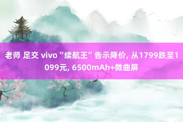 老师 足交 vivo“续航王”告示降价， 从1799跌至1099元， 6500mAh+微曲屏