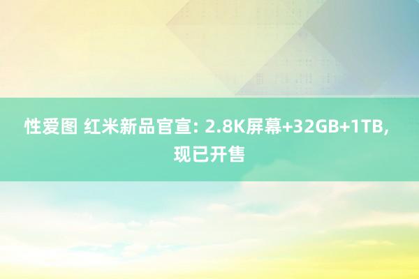 性爱图 红米新品官宣: 2.8K屏幕+32GB+1TB， 现已开售