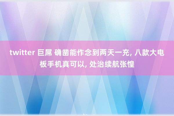 twitter 巨屌 确凿能作念到两天一充， 八款大电板手机真可以， 处治续航张惶