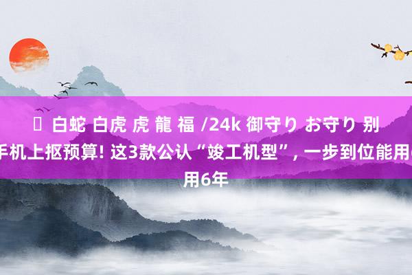 ✨白蛇 白虎 虎 龍 福 /24k 御守り お守り 别在手机上抠预算! 这3款公认“竣工机型”， 一步到位能用6年