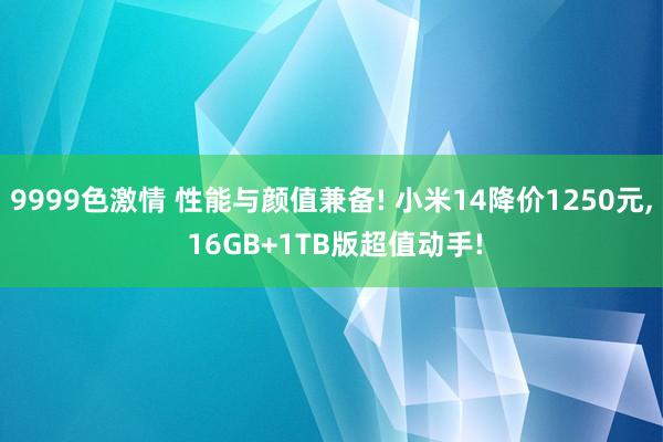 9999色激情 性能与颜值兼备! 小米14降价1250元， 16GB+1TB版超值动手!