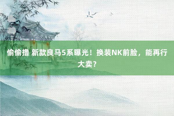 偷偷撸 新款良马5系曝光！换装NK前脸，能再行大卖？