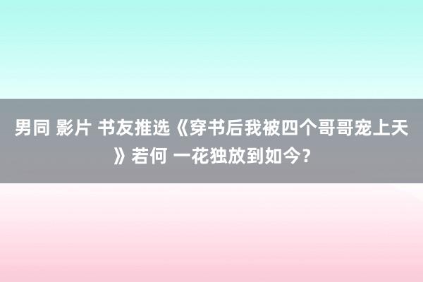 男同 影片 书友推选《穿书后我被四个哥哥宠上天》若何 一花独放到如今？
