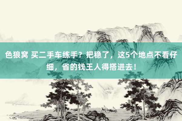 色狼窝 买二手车练手？把稳了，这5个地点不看仔细，省的钱王人得搭进去！