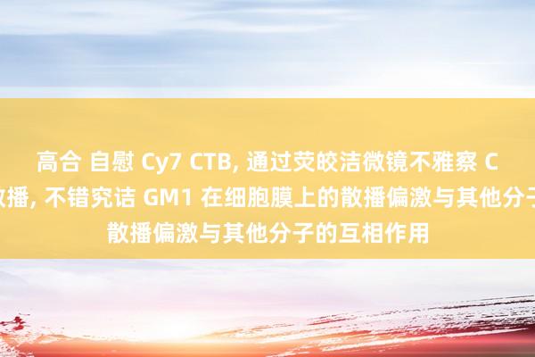 高合 自慰 Cy7 CTB， 通过荧皎洁微镜不雅察 Cy7-CTB 的散播， 不错究诘 GM1 在细胞膜上的散播偏激与其他分子的互相作用