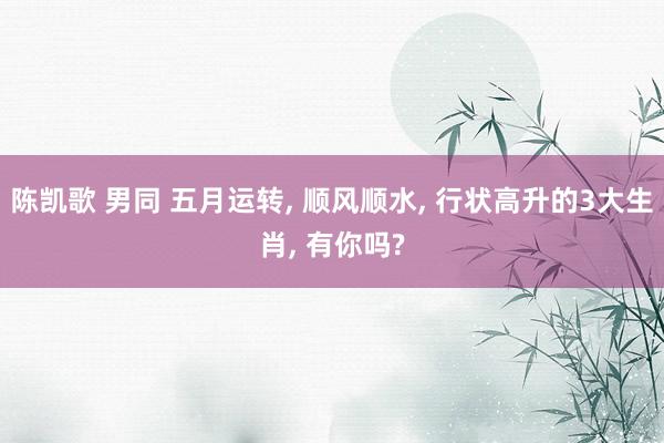 陈凯歌 男同 五月运转， 顺风顺水， 行状高升的3大生肖， 有你吗?