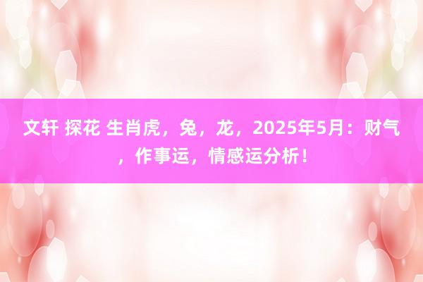 文轩 探花 生肖虎，兔，龙，2025年5月：财气，作事运，情感运分析！