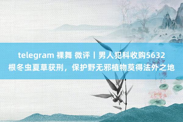 telegram 裸舞 微评丨男人犯科收购5632根冬虫夏草获刑，保护野无邪植物莫得法外之地