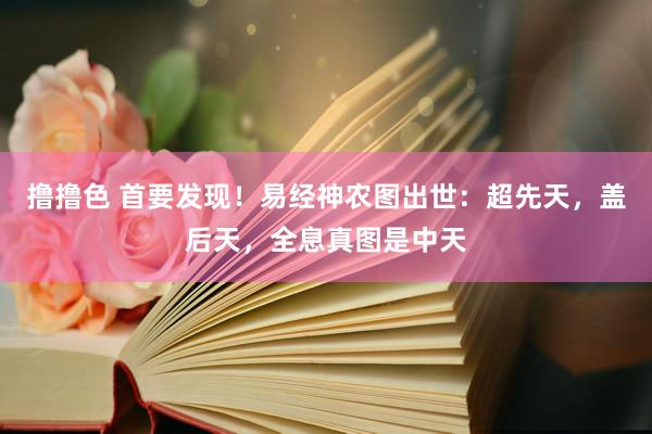 撸撸色 首要发现！易经神农图出世：超先天，盖后天，全息真图是中天