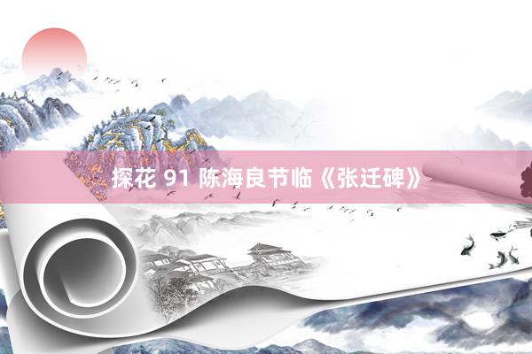 探花 91 陈海良节临《张迁碑》