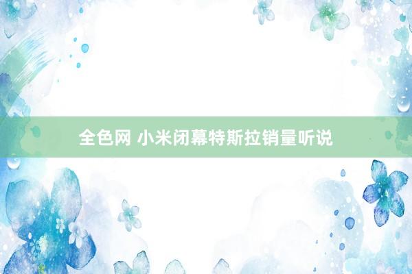 全色网 小米闭幕特斯拉销量听说